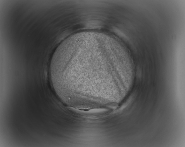 X0000088451401200706191303