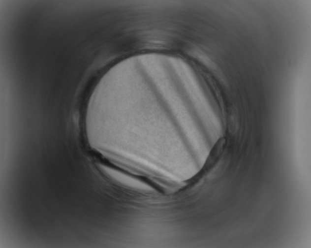 X0000088451402200706191303