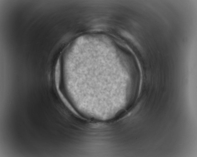 X0000088451403200706191303