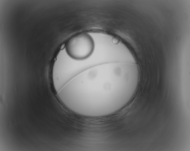 X0000088451404200706191303