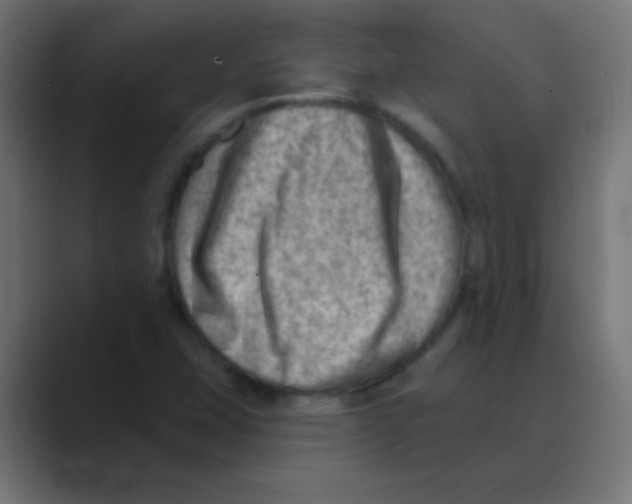 X0000088451407200706191303