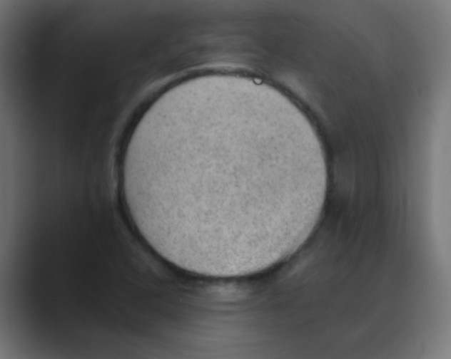X0000088451408200706191303