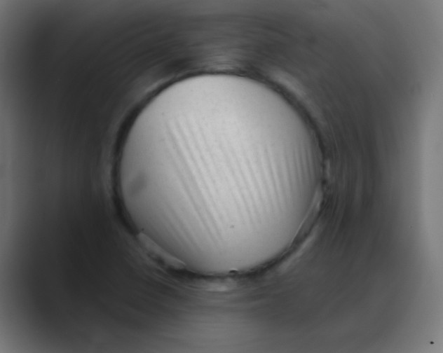X0000088451410200706191303