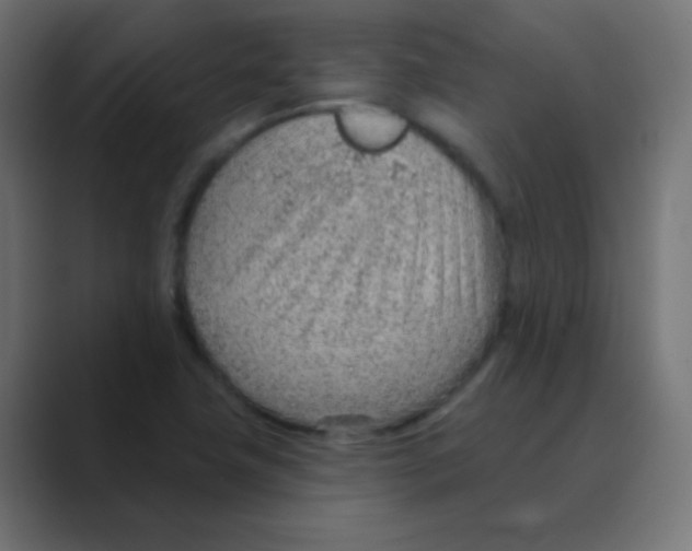X0000088451411200706191303
