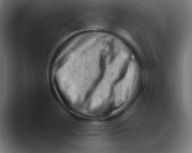X0000088451412200706191303