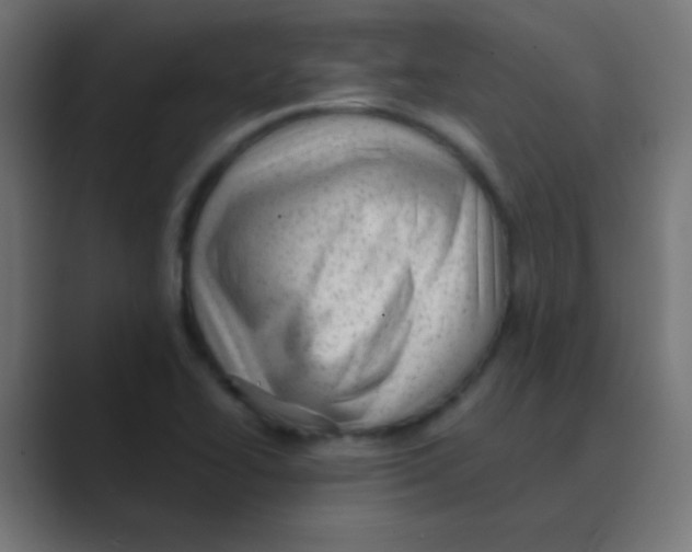 X0000088451414200706191303