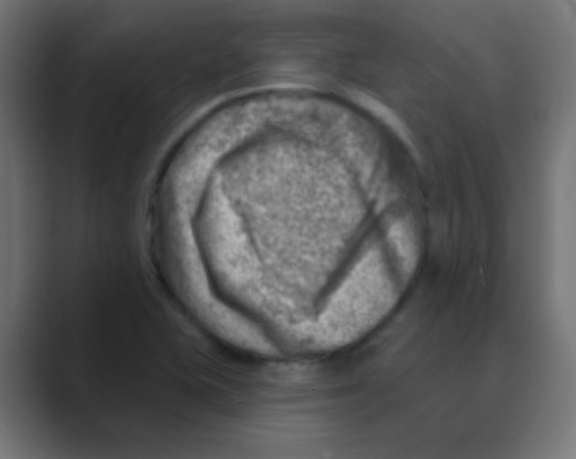 X0000088451415200706191303