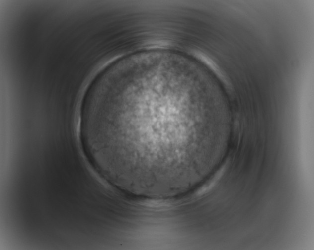 X0000088451418200706191303