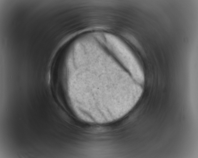 X0000088451420200706191303