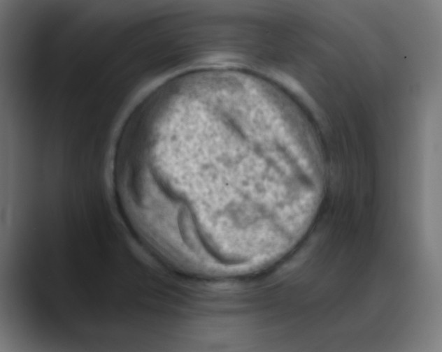 X0000088451421200706191303