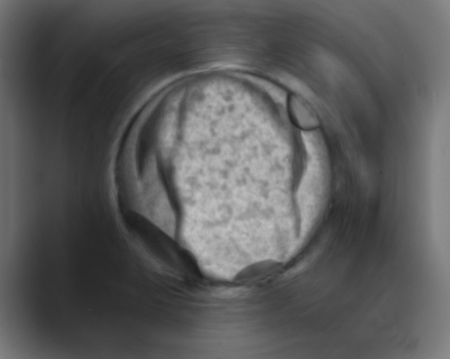 X0000088451423200706191303