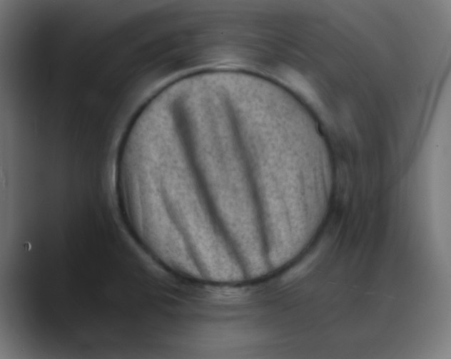 X0000088451424200706191303