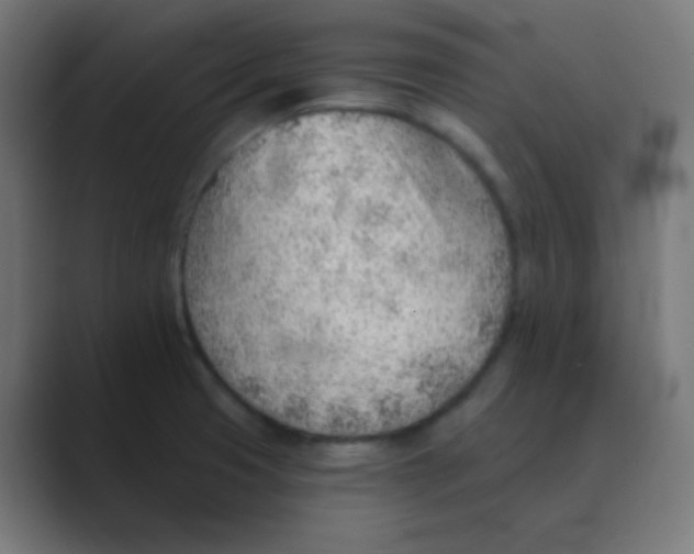 X0000088451425200706191303