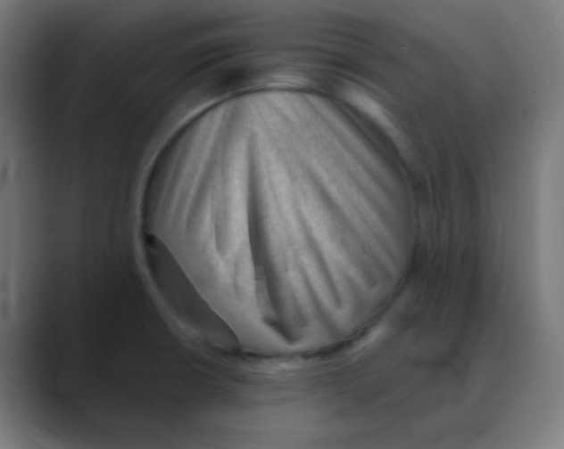 X0000088451426200706191303