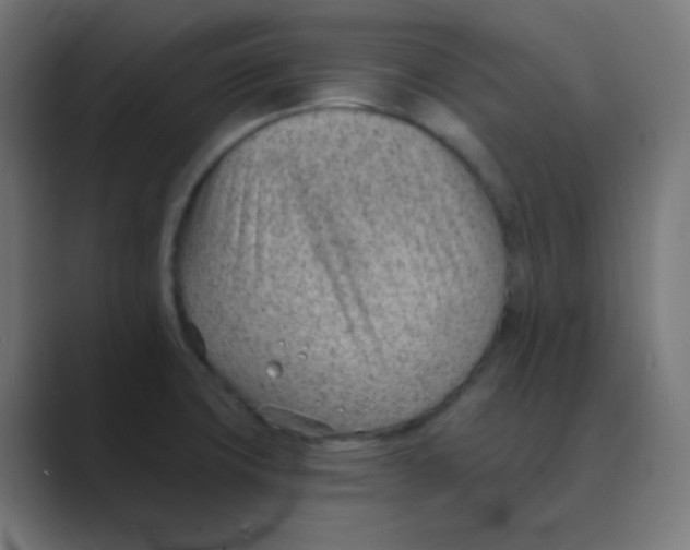 X0000088451427200706191303