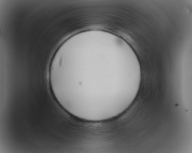 X0000088451428200706191303