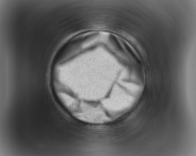X0000088451432200706191303