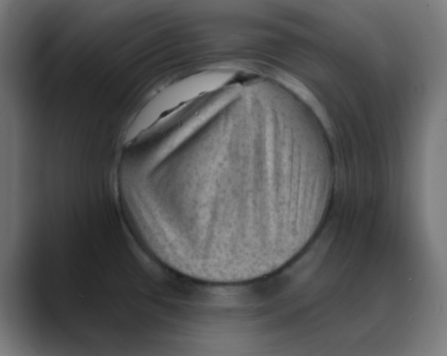 X0000088451433200706191303