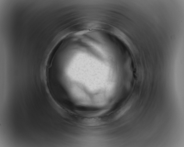 X0000088451434200706191303