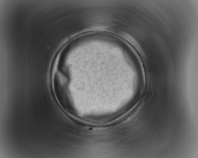 X0000088451436200706191303