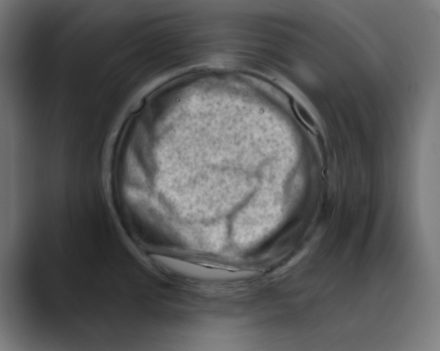 X0000088451437200706191303