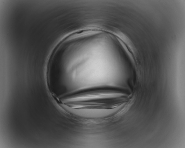 X0000088451438200706191303