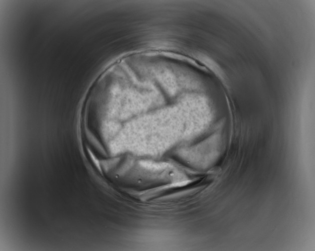 X0000088451439200706191303