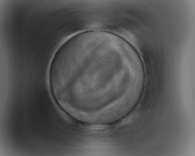 X0000088451440200706191303