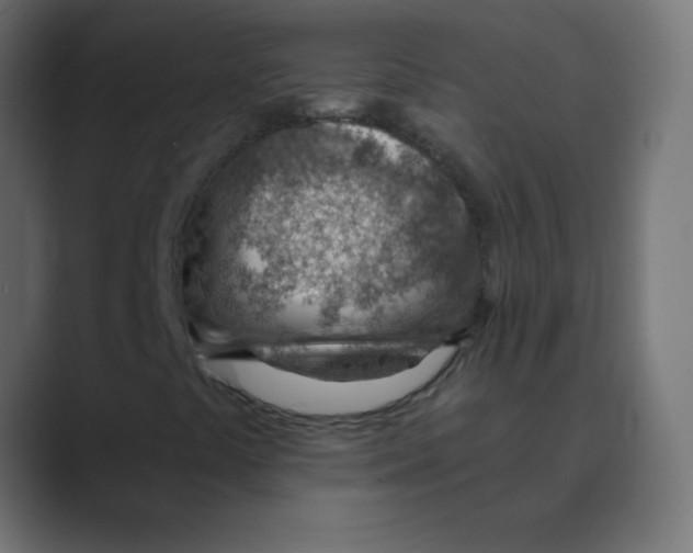 X0000088451441200706191302