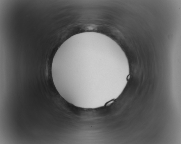 X0000088451442200706191302
