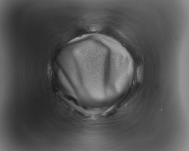 X0000088451443200706191302