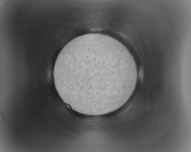 X0000088451444200706191302