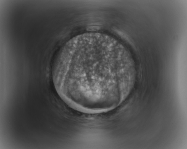 X0000088451445200706191302