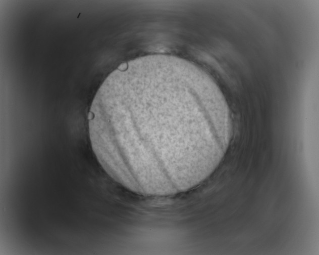 X0000088451446200706191302