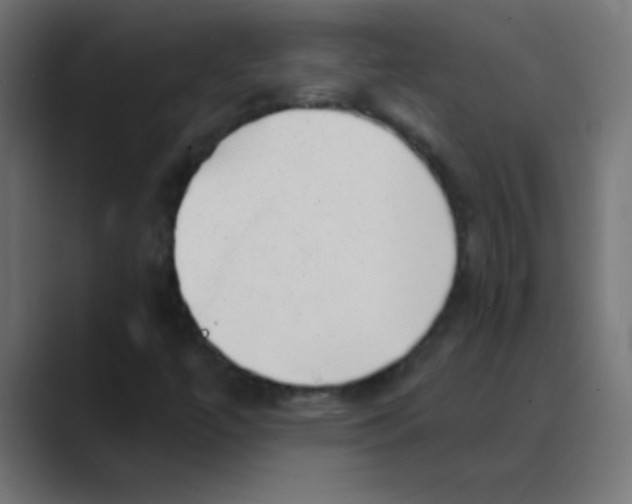 X0000088451447200706191302