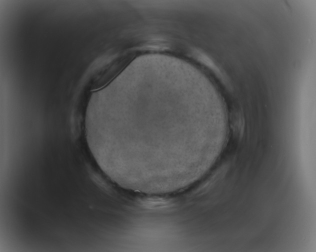 X0000088451448200706191302