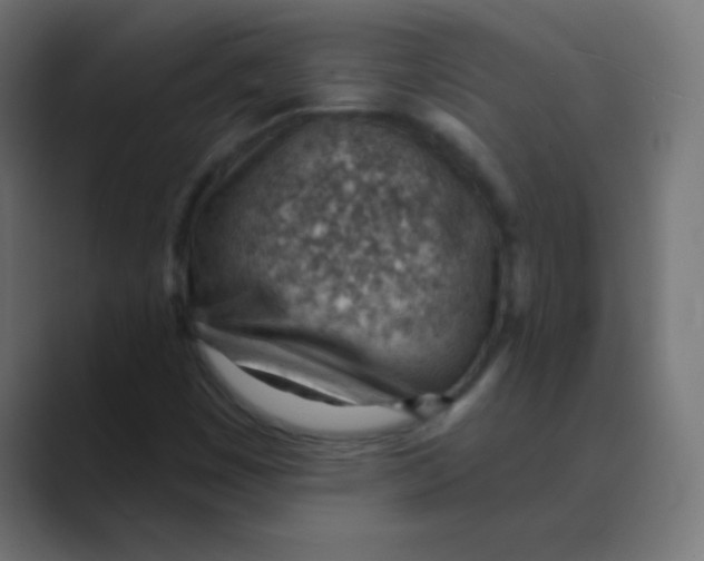 X0000088451449200706191302