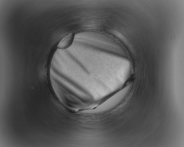 X0000088451450200706191302