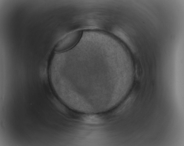 X0000088451452200706191302