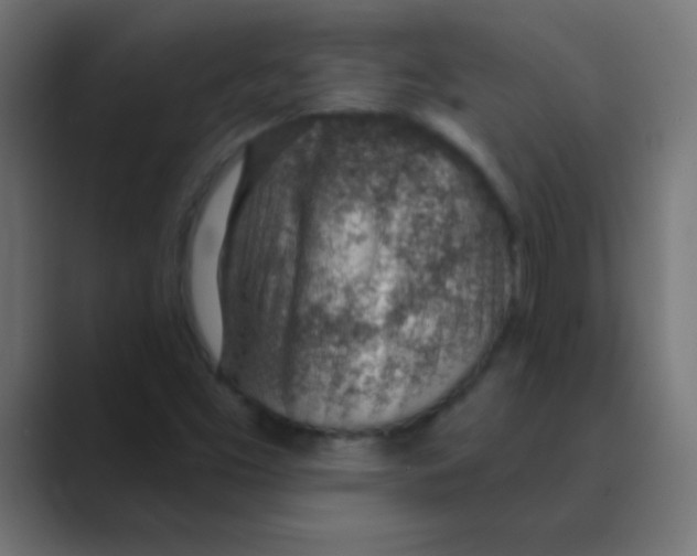 X0000088451453200706191302