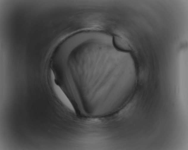 X0000088451455200706191302