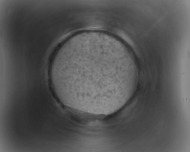 X0000088451456200706191302