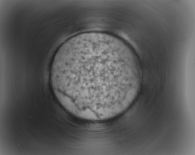 X0000088451459200706191302
