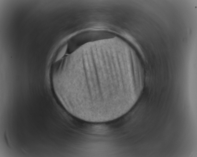 X0000088451464200706191302