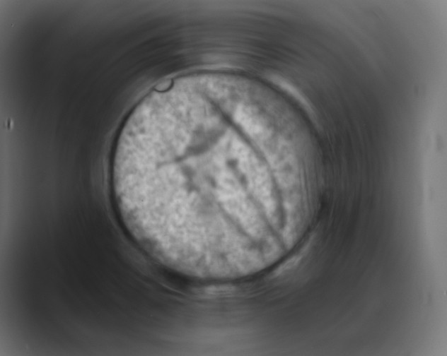 X0000088451467200706191302