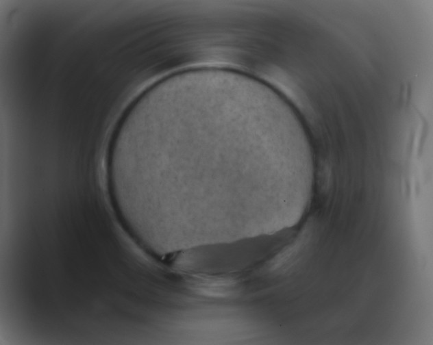 X0000088451468200706191302