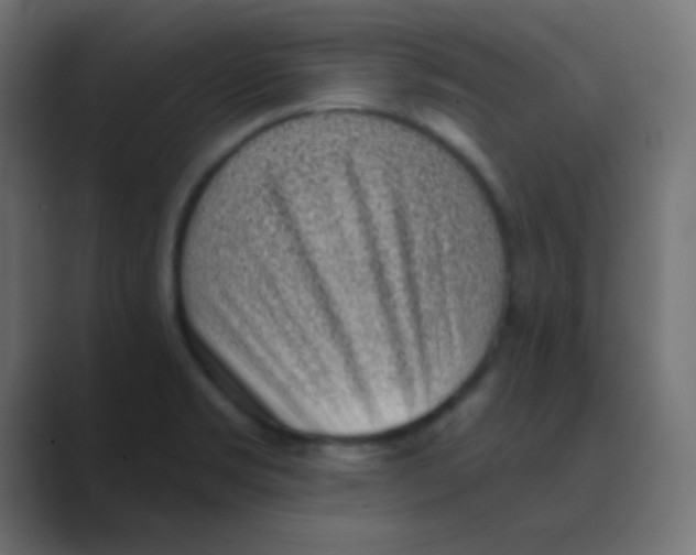 X0000088451469200706191302