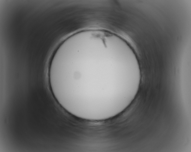 X0000088451472200706191302