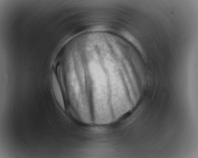 X0000088451473200706191302