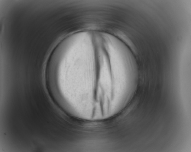 X0000088451475200706191302